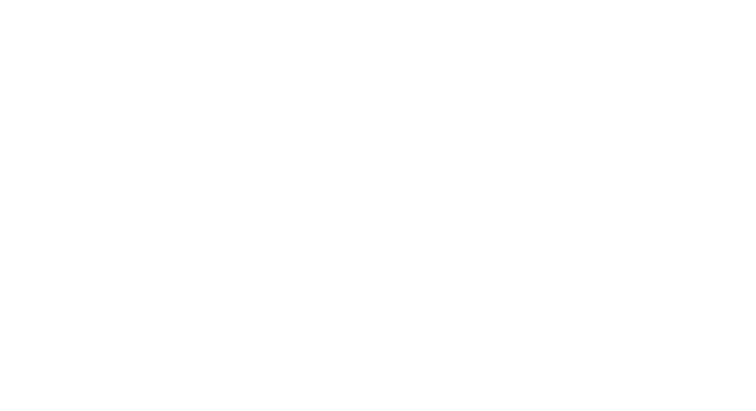 Logo Lokerse feesten wit